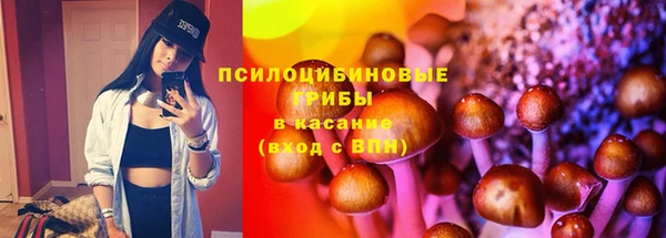 амф Алзамай