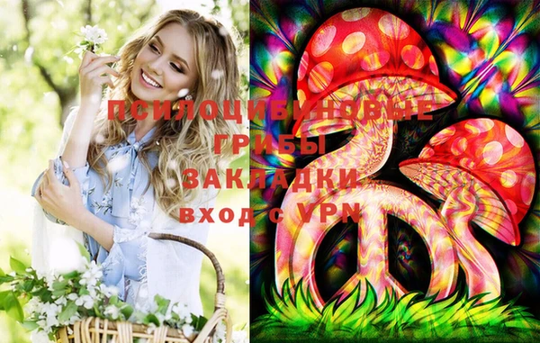 амф Алзамай