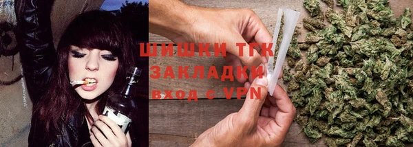 твердый Няндома
