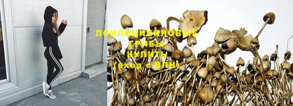 экстази Алексин