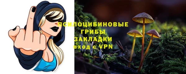 ALPHA-PVP Алексеевка